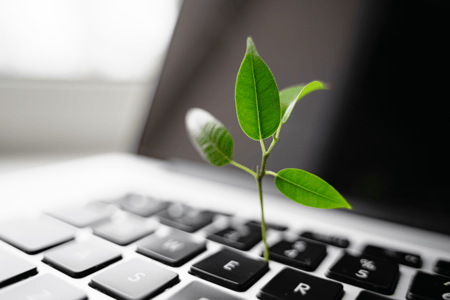plant grows through laptop